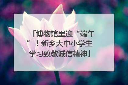 博物馆里迎“端午”！新乡大中小学生学习致敬诚信精神