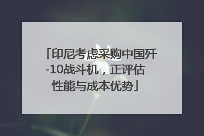 印尼考虑采购中国歼-10战斗机，正评估性能与成本优势