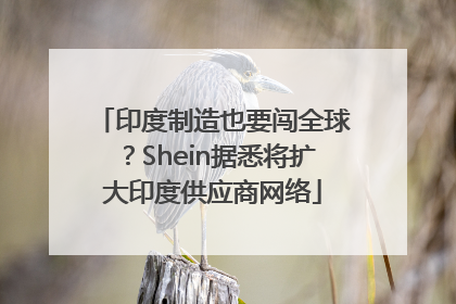 印度制造也要闯全球？Shein据悉将扩大印度供应商网络