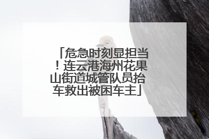 危急时刻显担当！连云港海州花果山街道城管队员抬车救出被困车主