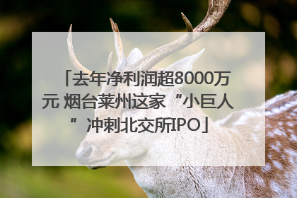 去年净利润超8000万元 烟台莱州这家“小巨人”冲刺北交所IPO