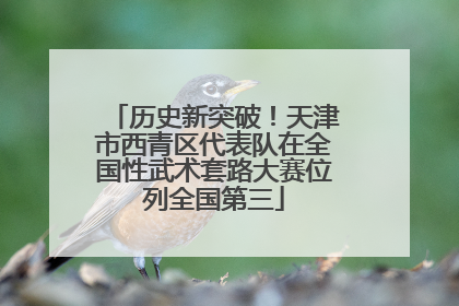 历史新突破！天津市西青区代表队在全国性武术套路大赛位列全国第三