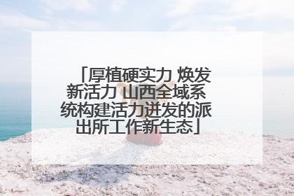 厚植硬实力 焕发新活力 山西全域系统构建活力迸发的派出所工作新生态