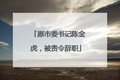 原市委书记陈金虎，被责令辞职