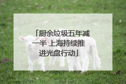 厨余垃圾五年减一半 上海持续推进光盘行动