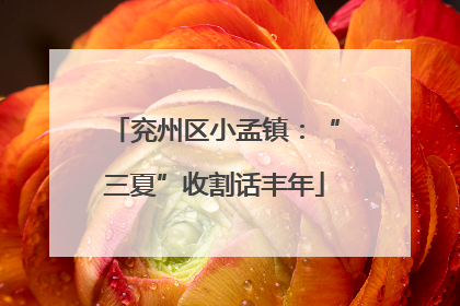 兖州区小孟镇：“三夏”收割话丰年
