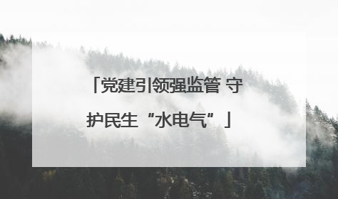 党建引领强监管 守护民生“水电气”