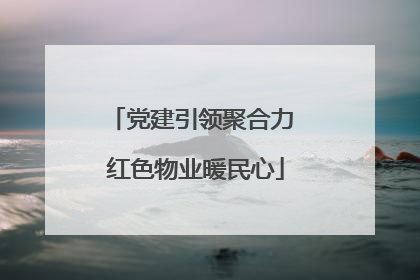 党建引领聚合力 红色物业暖民心
