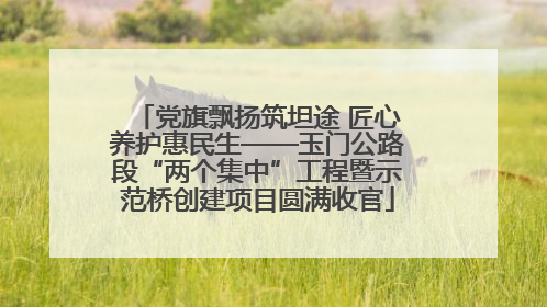 党旗飘扬筑坦途 匠心养护惠民生——玉门公路段“两个集中”工程暨示范桥创建项目圆满收官