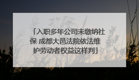 入职多年公司未缴纳社保 成都大邑法院依法维护劳动者权益这样判