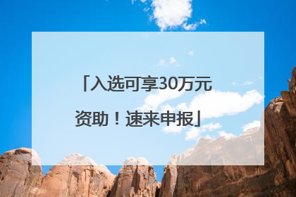 入选可享30万元资助！速来申报