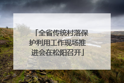 全省传统村落保护利用工作现场推进会在松阳召开