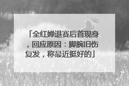 全红婵退赛后首现身，回应原因：脚腕旧伤复发，称最近挺好的