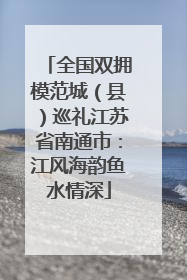 全国双拥模范城（县）巡礼江苏省南通市：江风海韵鱼水情深