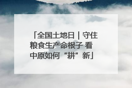 全国土地日｜守住粮食生产命根子 看中原如何“耕”新