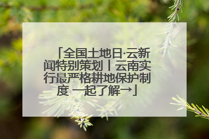 全国土地日·云新闻特别策划丨云南实行最严格耕地保护制度 一起了解→