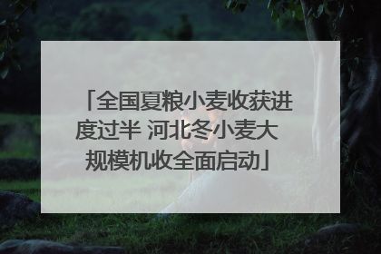 全国夏粮小麦收获进度过半 河北冬小麦大规模机收全面启动
