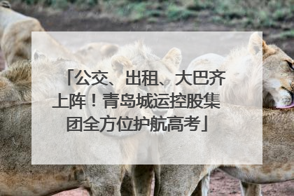 公交、出租、大巴齐上阵！青岛城运控股集团全方位护航高考