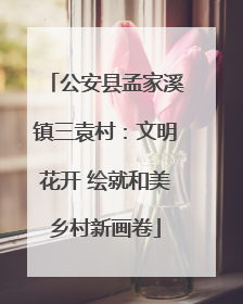 公安县孟家溪镇三袁村：文明花开 绘就和美乡村新画卷