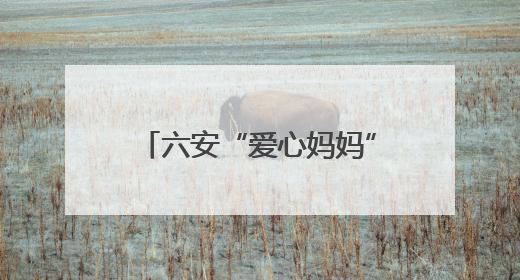 六安“爱心妈妈”刘会芹：促康复帮就业，为孤独症儿童家庭送去希望