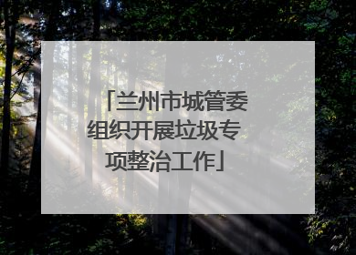 兰州市城管委组织开展垃圾专项整治工作