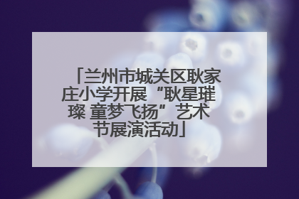 兰州市城关区耿家庄小学开展“耿星璀璨 童梦飞扬”艺术节展演活动