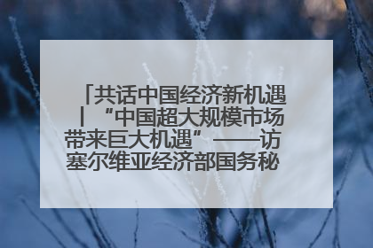 共话中国经济新机遇丨“中国超大规模市场带来巨大机遇”——访塞尔维亚经济部国务秘书尼科利奇