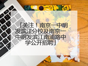 关注！南京一中明发滨江分校及南京一中明发滨江南浦路中学公开招聘