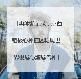 再添新记录，京西稻核心种植区频现世界极危与濒危鸟种