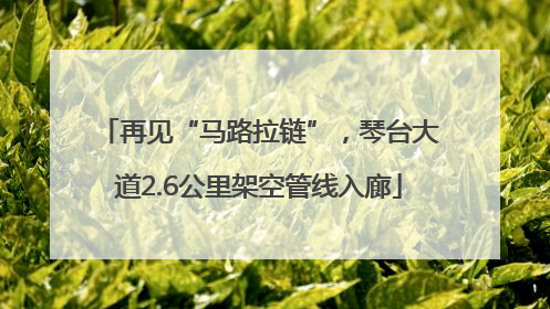 再见“马路拉链”，琴台大道2.6公里架空管线入廊