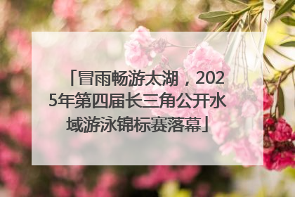 冒雨畅游太湖，2025年第四届长三角公开水域游泳锦标赛落幕