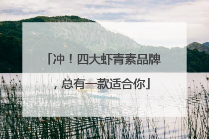 冲！四大虾青素品牌，总有一款适合你
