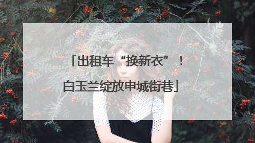 出租车“换新衣”！白玉兰绽放申城街巷