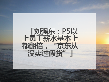 刘强东：P5以上员工薪水基本上都翻倍，“京东从没卖过假货”