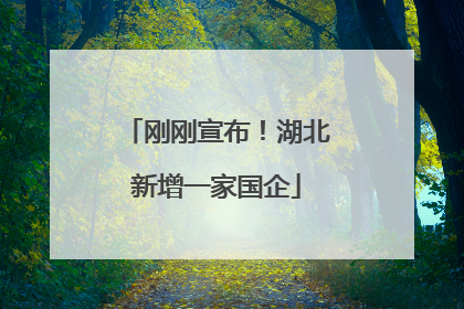刚刚宣布！湖北新增一家国企