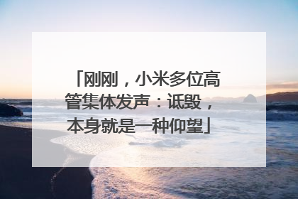 刚刚，小米多位高管集体发声：诋毁，本身就是一种仰望