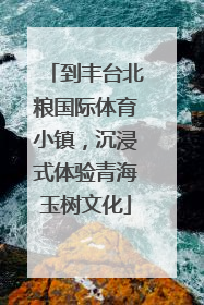 到丰台北粮国际体育小镇，沉浸式体验青海玉树文化