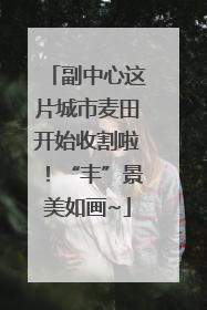 副中心这片城市麦田开始收割啦！“丰”景美如画~