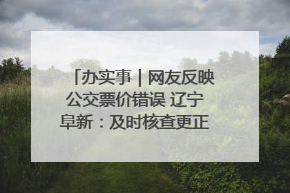 办实事｜网友反映公交票价错误 辽宁阜新：及时核查更正 加强实时巡检