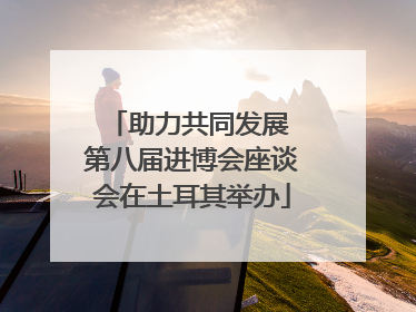 助力共同发展 第八届进博会座谈会在土耳其举办