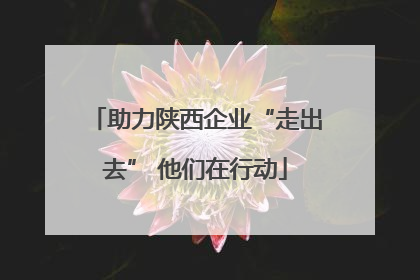 助力陕西企业“走出去” 他们在行动