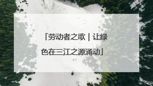 劳动者之歌｜让绿色在三江之源涌动