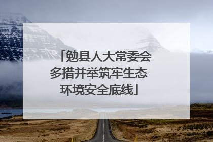 勉县人大常委会多措并举筑牢生态环境安全底线