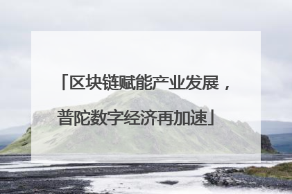 区块链赋能产业发展，普陀数字经济再加速