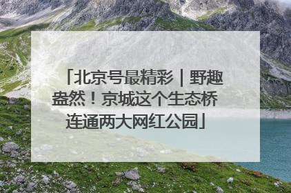 北京号最精彩｜野趣盎然！京城这个生态桥连通两大网红公园