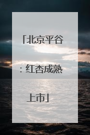 北京平谷：红杏成熟上市