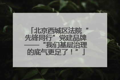 北京西城区法院“先锋同行”党建品牌——“我们基层治理的底气更足了！”