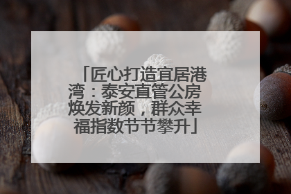匠心打造宜居港湾：泰安直管公房焕发新颜，群众幸福指数节节攀升