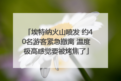 埃特纳火山喷发 约40名游客紧急撤离 温度极高感觉要被烤焦了