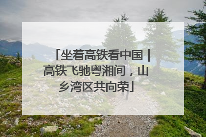 坐着高铁看中国｜高铁飞驰粤湘间，山乡湾区共向荣
